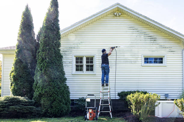 Best Building Exterior Washing  in Daphne, AL